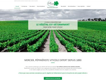 pépiniériste viticole, production de vigne, création de vignoble