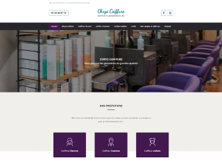 Coiffeur, Salon de coiffure 